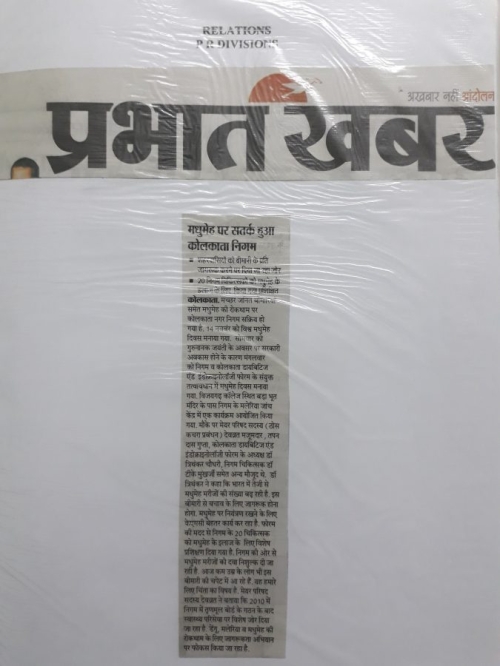 gallery1